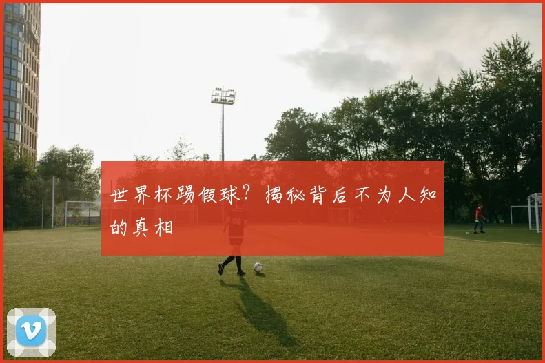 世界杯踢假球？揭秘背后不为人知的真相