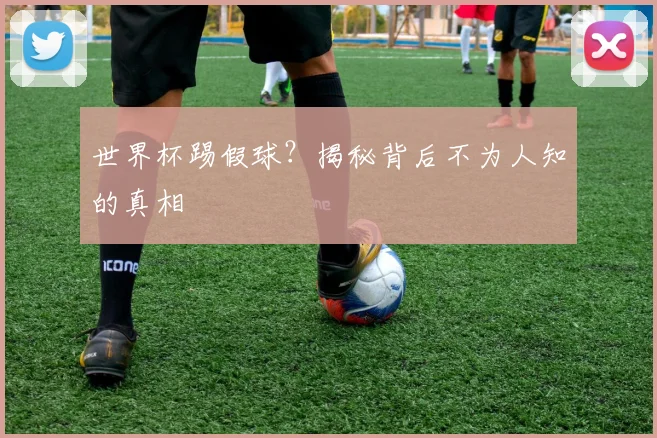 世界杯踢假球？揭秘背后不为人知的真相