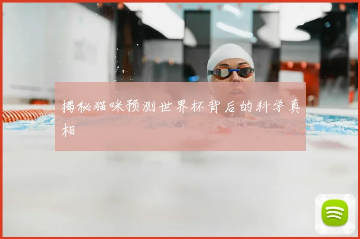 揭秘猫咪预测世界杯背后的科学真相