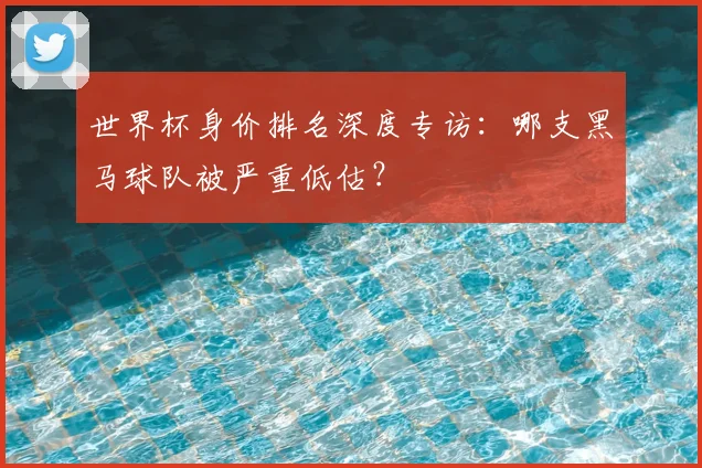 世界杯身价排名深度专访：哪支黑马球队被严重低估？