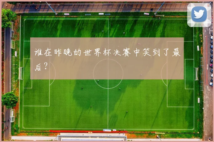 谁在昨晚的世界杯决赛中笑到了最后？