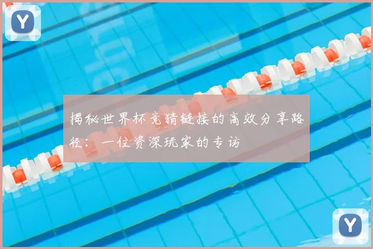 揭秘世界杯竞猜链接的高效分享路径:一位资深玩家的专访