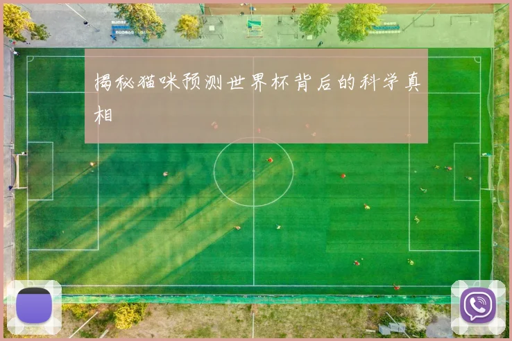 揭秘猫咪预测世界杯背后的科学真相