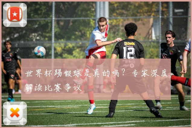 世界杯踢假球是真的吗？专家深度解读比赛争议