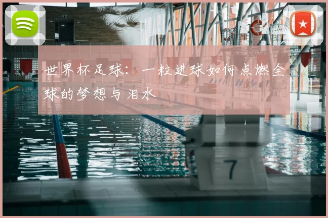 世界杯足球：一粒进球如何点燃全球的梦想与泪水